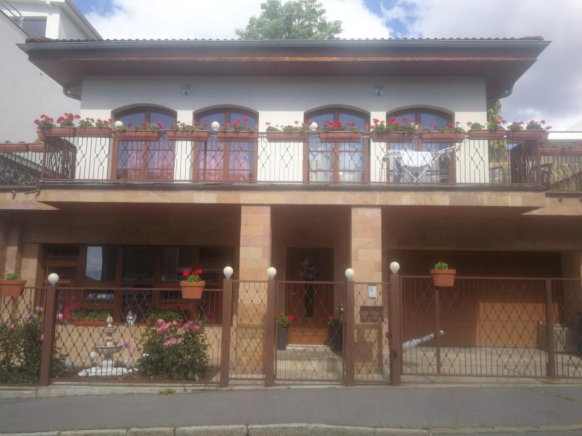 Vila Barrandov Praag Buitenkant foto